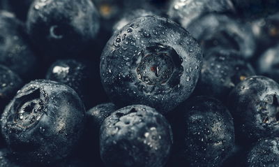 Ljuddämpande tavla - Blueberries close up 3d