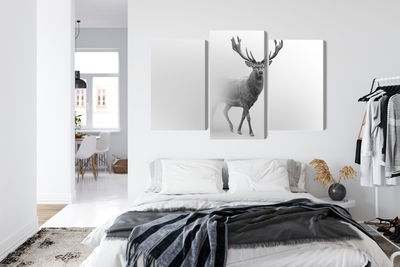 Ljuddämpande tavla - A stately deer in the fog
