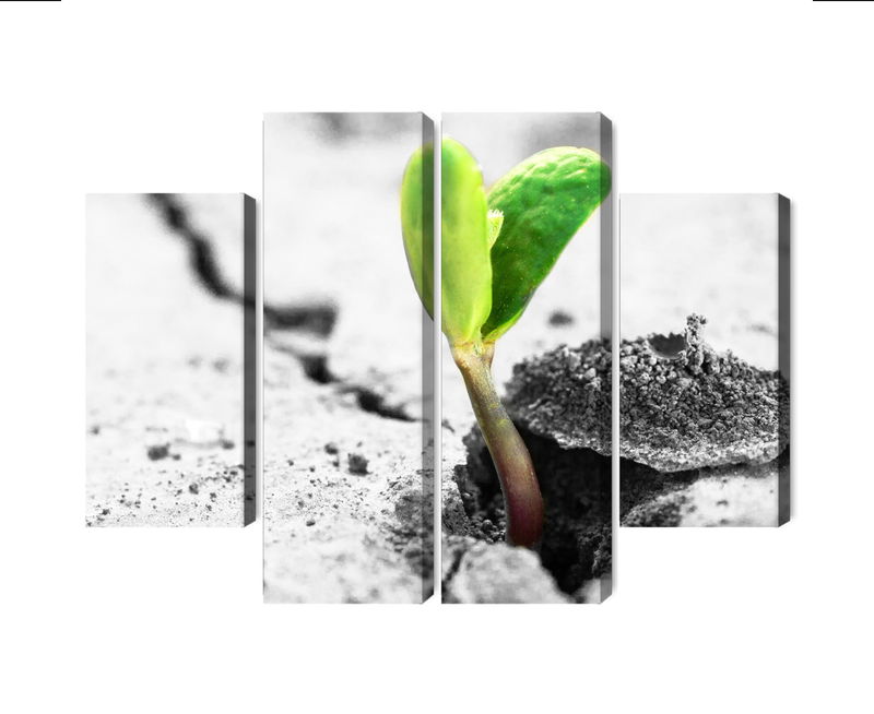 Ljuddämpande tavla - 3d plant sprouting