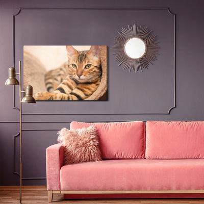 Ljuddämpande tavla - Bengal cat