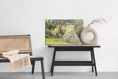 Ljuddämpande tavla - A deer among the rocks