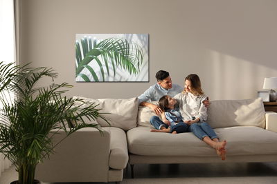 Ljuddämpande tavla - Green palm leaf with a 3d