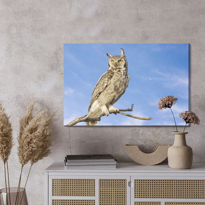 Ljuddämpande tavla - Bird of prey against the sky