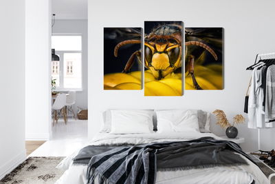 Ljuddämpande tavla - Wasp on a macro scale