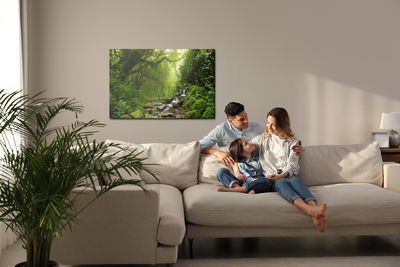 Ljuddämpande tavla - Subtropical forest in Nepal