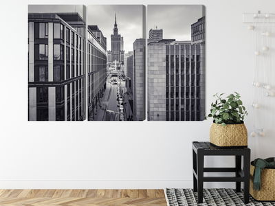 Ljuddämpande tavla - Black and white panorama