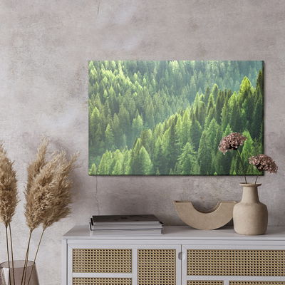 Ljuddämpande tavla - Green coniferous forest