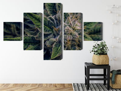 Ljuddämpande tavla - Cannabis plant close up