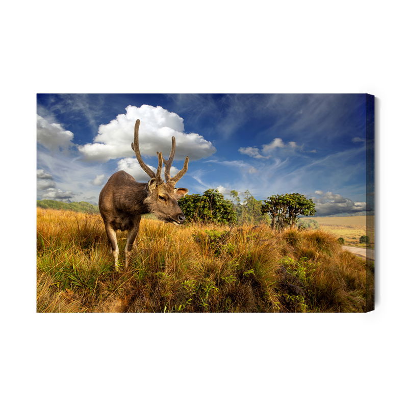 Ljuddämpande tavla - Deer against the sky