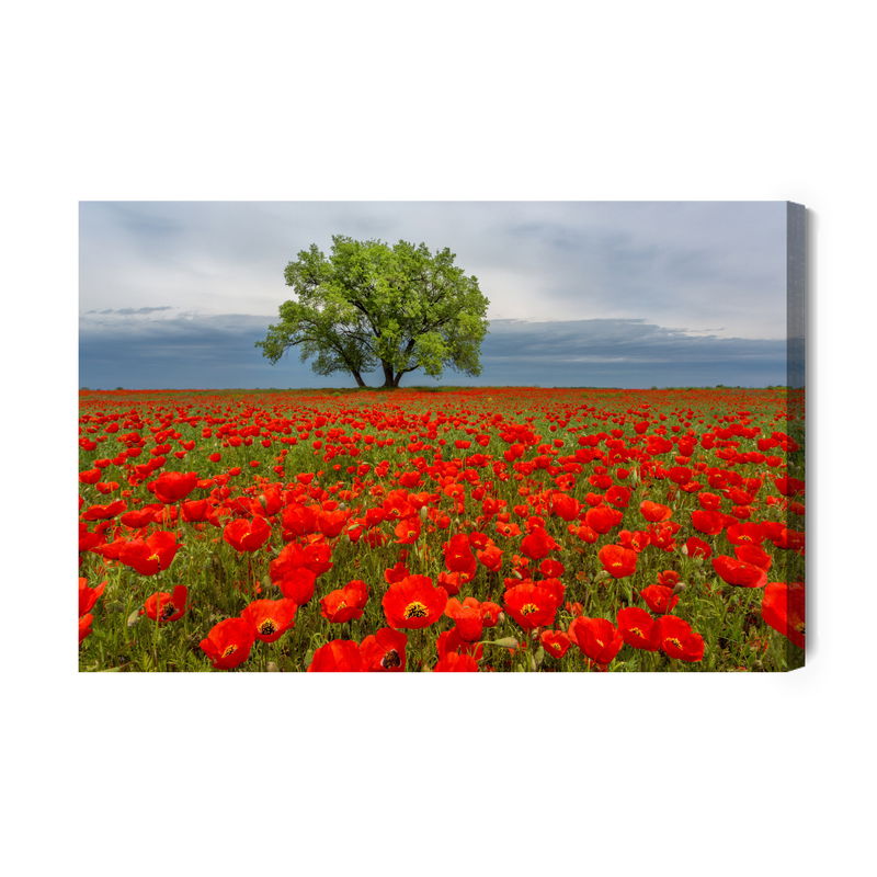 Ljuddämpande tavla - A tree in the middle