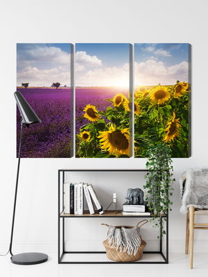 Ljuddämpande tavla - Lavender and sunflower