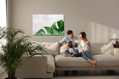 Ljuddämpande tavla - Monstera leaves