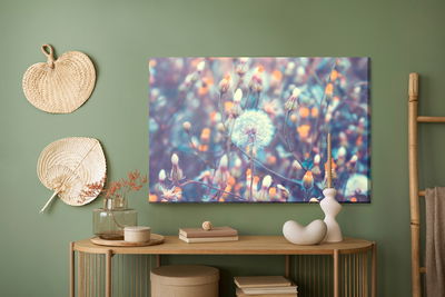 Ljuddämpande tavla - Dandelions in the meadow