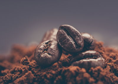 Ljuddämpande tavla - Closeup of coffee beans