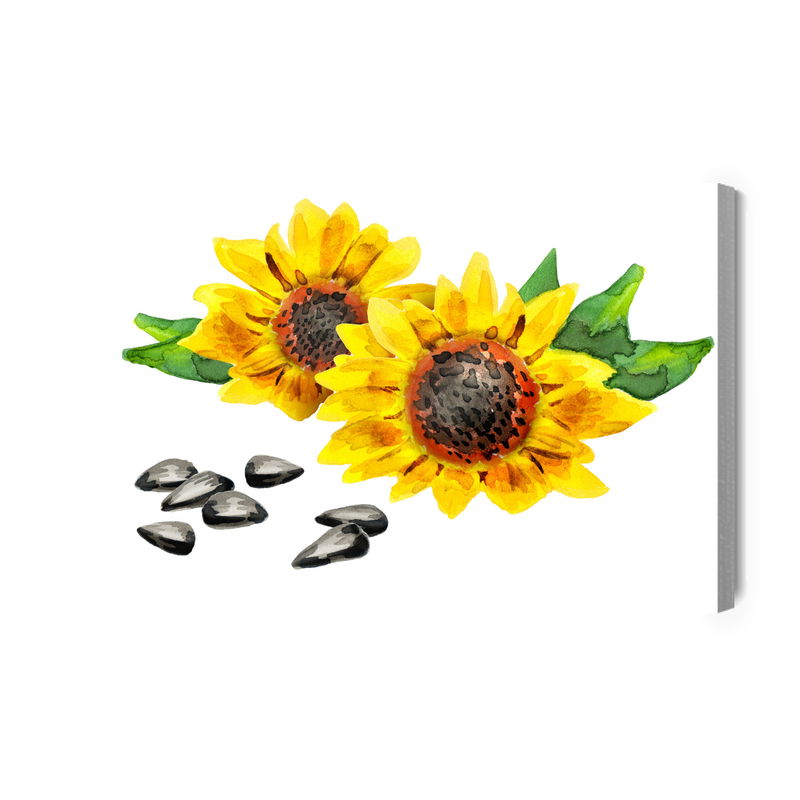 Ljuddämpande tavla - Flowers and sunflower seeds