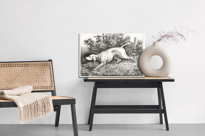 Ljuddämpande tavla - Hunting dog