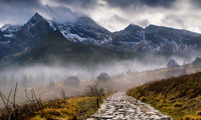 Ljuddämpande tavla - Misty landscape with hala