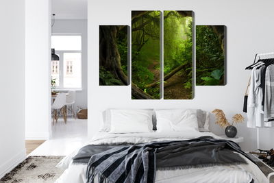 Ljuddämpande tavla - Path in a tropical forest