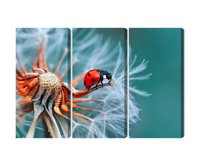 Ljuddämpande tavla - Ladybug on a dandelion