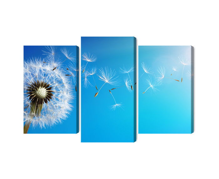Ljuddämpande tavla - Dandelion with flying seeds