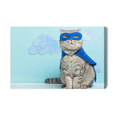 Ljuddämpande tavla - Gray cat with a mask