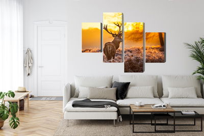 Ljuddämpande tavla - Deer in the forest at sunset