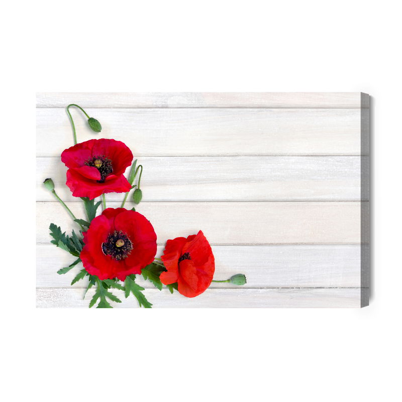 Ljuddämpande tavla - Red poppies on a background