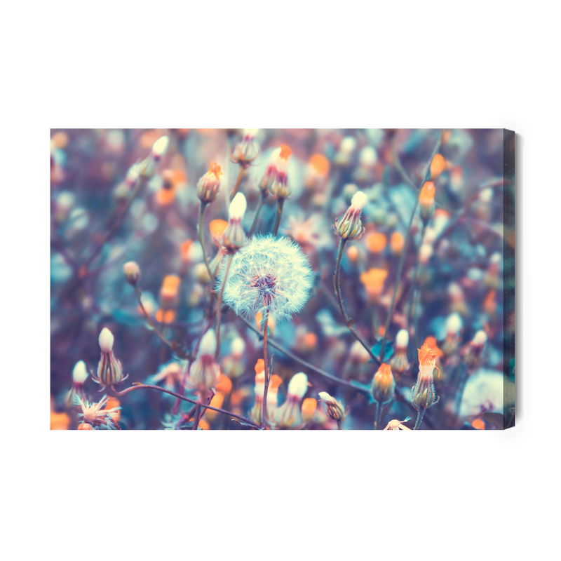 Ljuddämpande tavla - Dandelions in the meadow