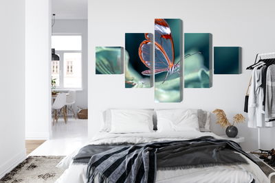 Ljuddämpande tavla - Glass-winged butterfly close