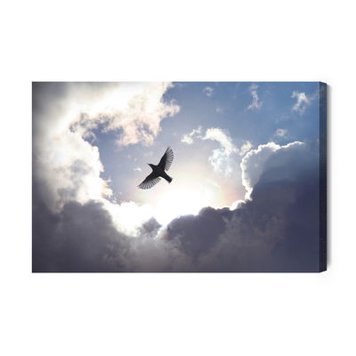 Ljuddämpande tavla - Bird on a background