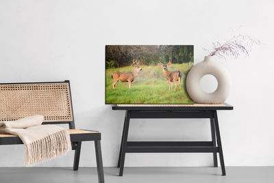 Ljuddämpande tavla - Two young deer