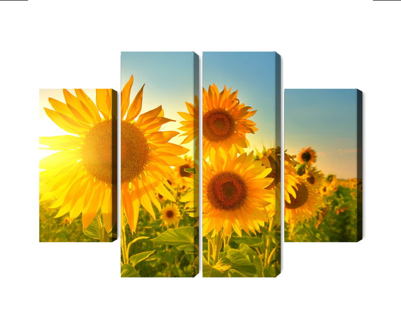 Ljuddämpande tavla - Sunflower field at sunset 3d