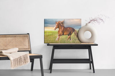 Ljuddämpande tavla - Galloping horse