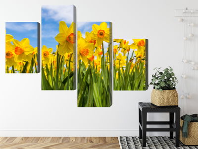 Ljuddämpande tavla - Daffodil field 3d