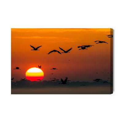 Ljuddämpande tavla - Flying cranes