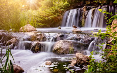 Ljuddämpande tavla - Waterfall at sunset