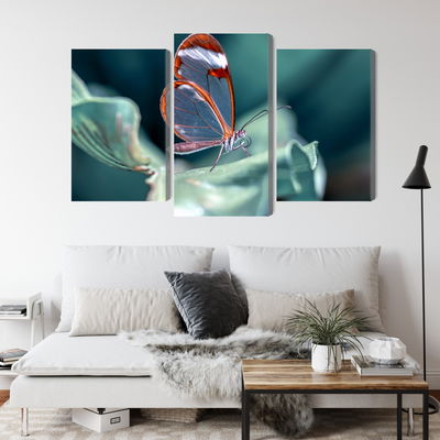 Ljuddämpande tavla - Glass-winged butterfly close