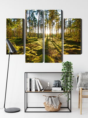 Ljuddämpande tavla - Forest landscape with sunset