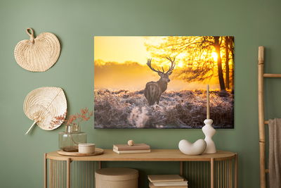 Ljuddämpande tavla - Deer in the morning sun