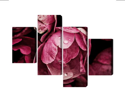 Ljuddämpande tavla - Peony flowers close up 3d