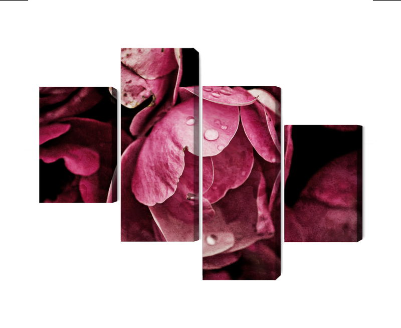 Ljuddämpande tavla - Peony flowers close up 3d