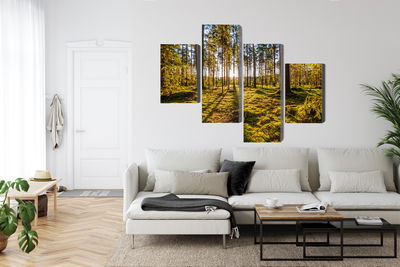 Ljuddämpande tavla - 3d sunny forest landscape