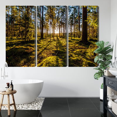 Ljuddämpande tavla - Morning sun rays