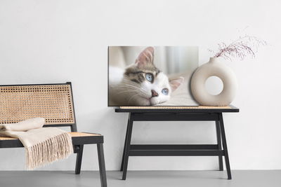 Ljuddämpande tavla - Dreamy kitten