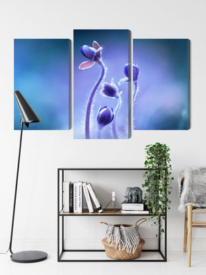 Ljuddämpande tavla - Delicate flowers on a macro