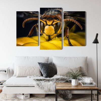 Ljuddämpande tavla - Wasp on a macro scale