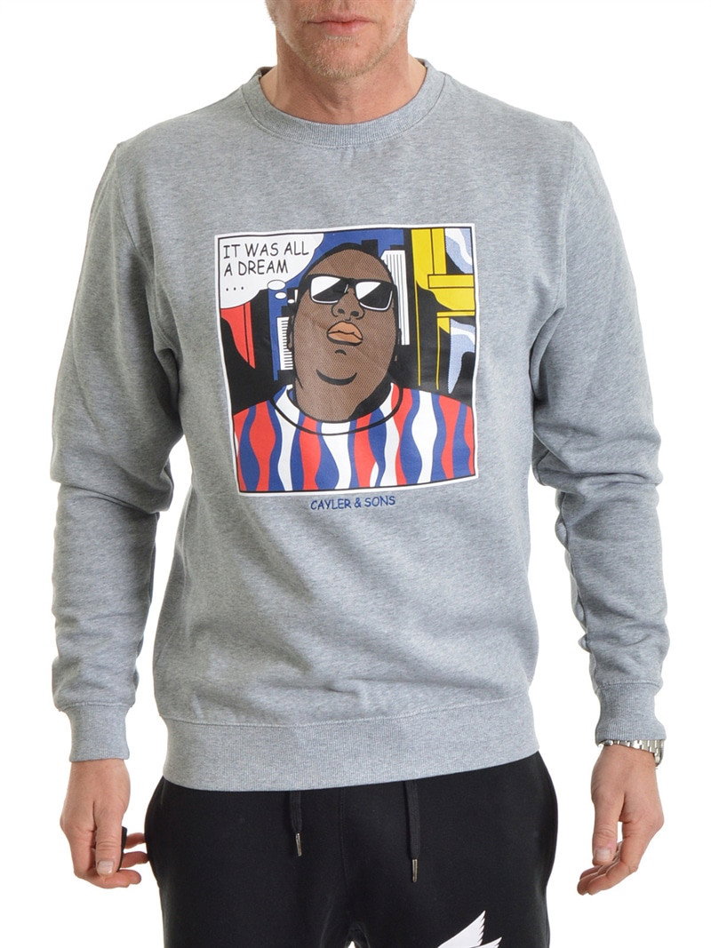 Biggenstein Crewneck Grey (S)