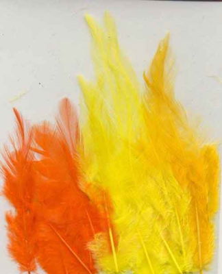 Hobby and Crafting - Feathers