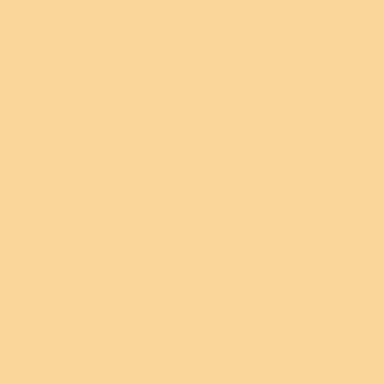 Play Cut Cardstock 30,5 x 30,5 cm - Beige