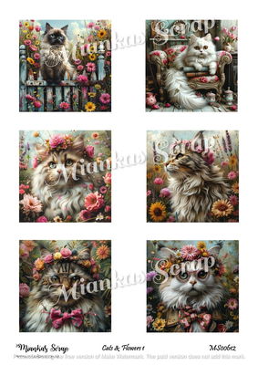 Miankas Scrap klippark - Cats & Flowers 1